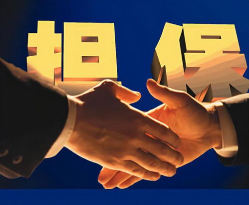 泰安弘澤擔(dān)保 勇做服務(wù)實(shí)體經(jīng)濟(jì)主力軍，破解小微三農(nóng)融資難題